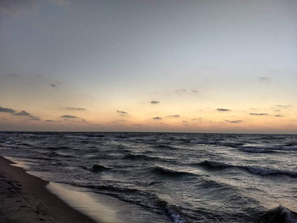 GV Fraternity Makes Waves in Flint